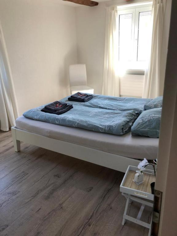 Charmante Wohnung nahe Zürich Flughafen und City Oberglatt Exterior foto