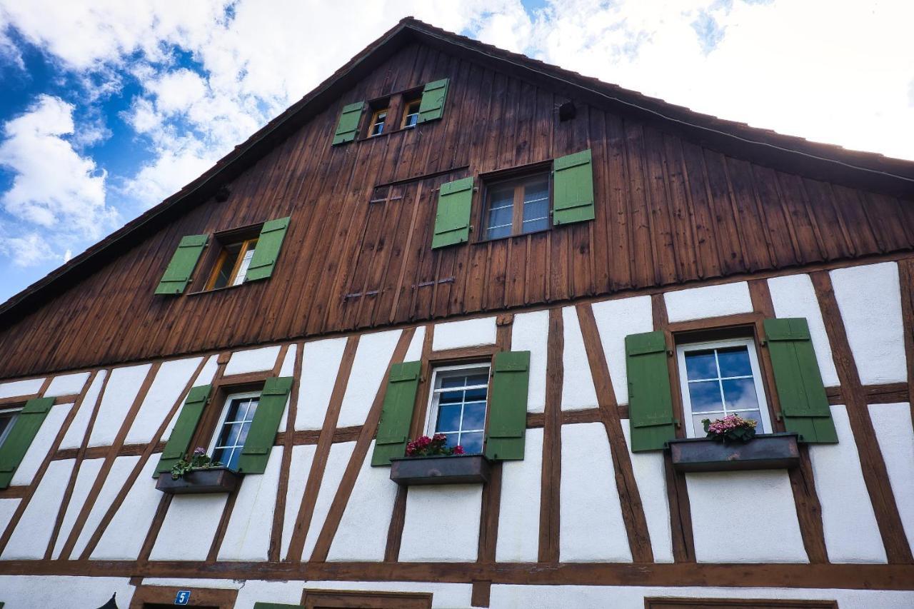 Charmante Wohnung nahe Zürich Flughafen und City Oberglatt Exterior foto