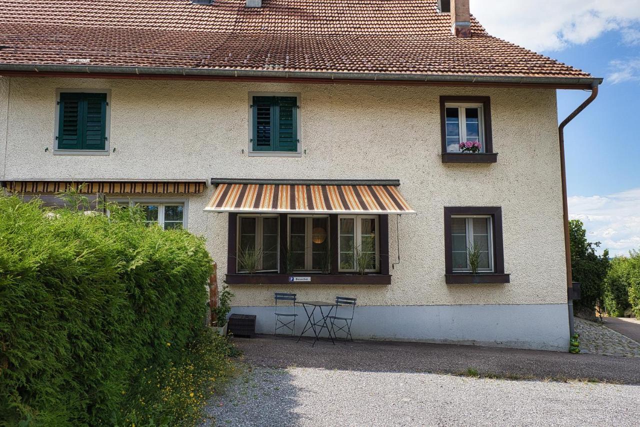 Charmante Wohnung nahe Zürich Flughafen und City Oberglatt Exterior foto