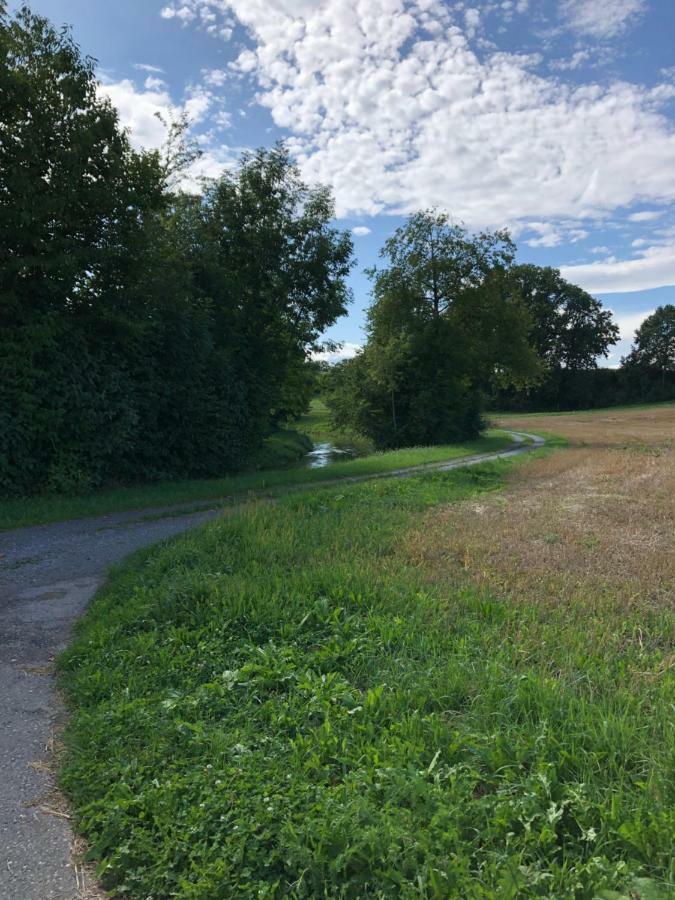 Charmante Wohnung nahe Zürich Flughafen und City Oberglatt Exterior foto