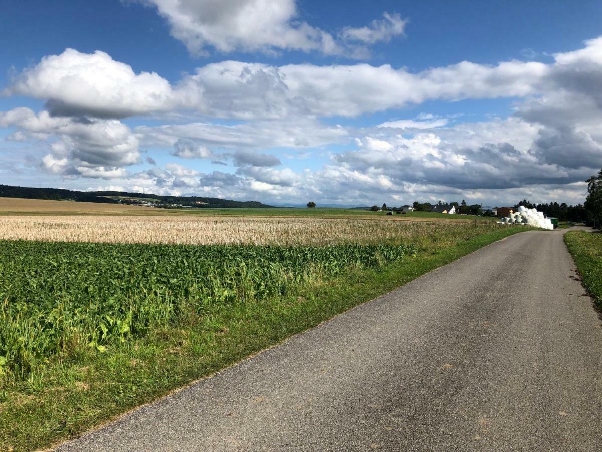 Charmante Wohnung nahe Zürich Flughafen und City Oberglatt Exterior foto